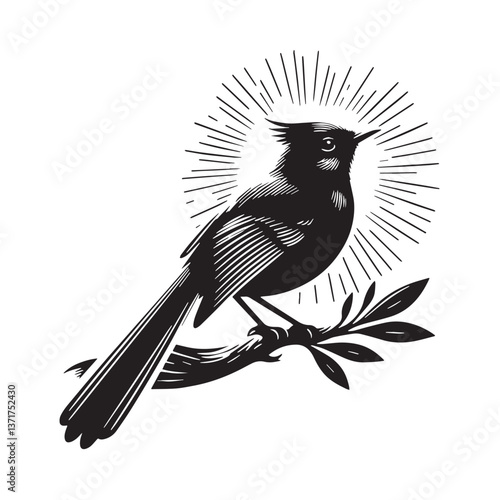 Black Rodrigues Solitaire Silhouette Vector, High Quality Illustration on White Background