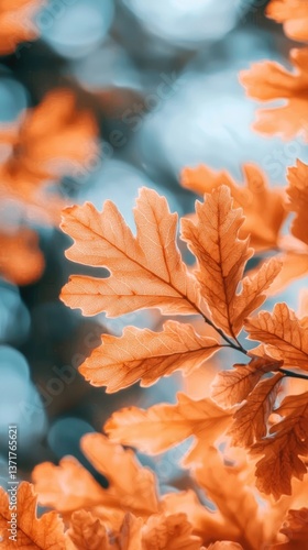 Autumn leaves, warm sunlight, bokeh background, nature detail, perfect for fall-themed designs photo