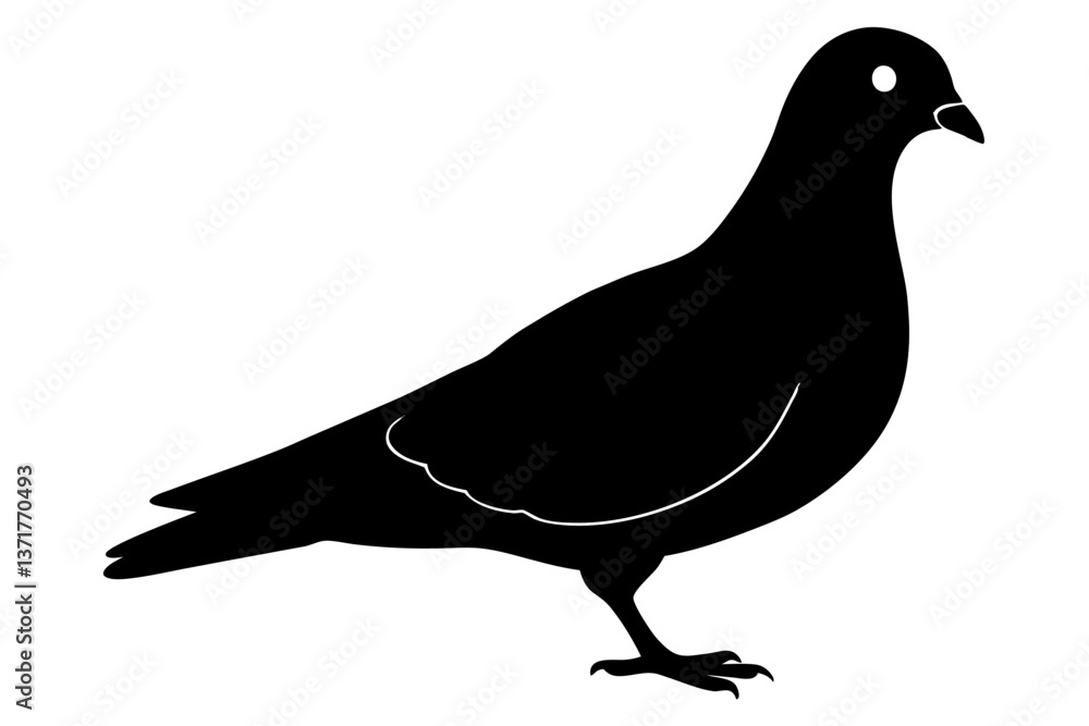silhouette of pigeon silhouette of pigeon