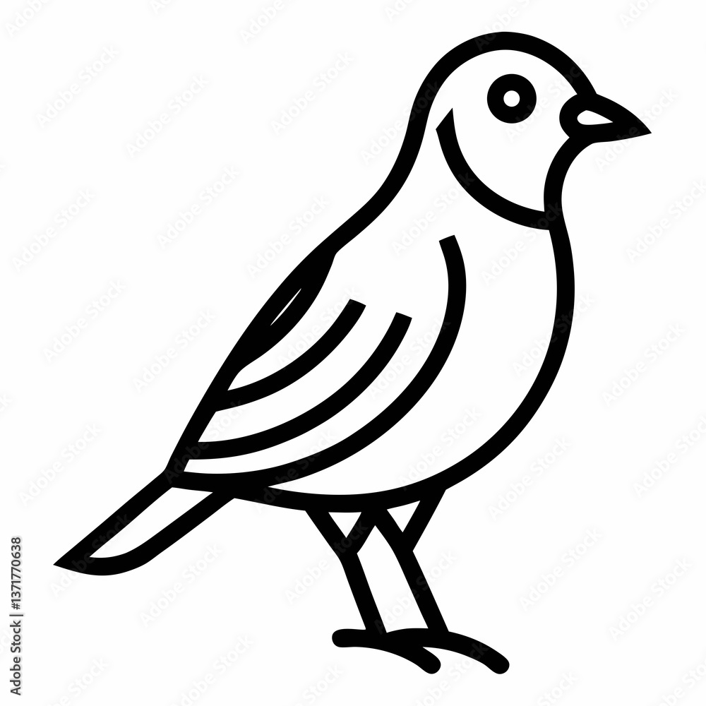 Obraz premium bird on white background