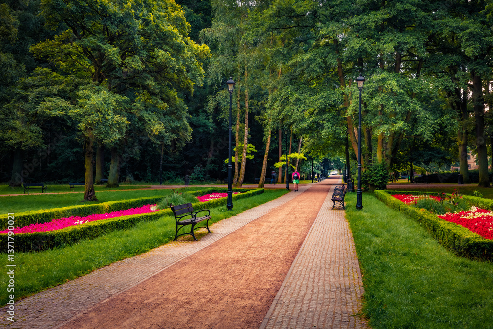 Dramatic summer view of empty alley in Zdrojowy park. Splendid outdoor scene of botanical garden with blooming flowers and old trees in Swinoujscie town, Poland, Europe.