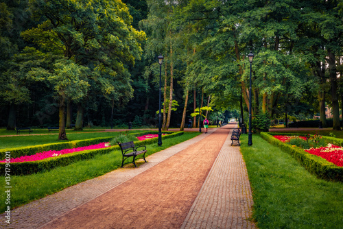 Obraz na płótnie Dramatic summer view of empty alley in Zdrojowy park. Splendid outdoor scene of botanical garden with blooming flowers and old trees in Swinoujscie town, Poland, Europe. w salonie