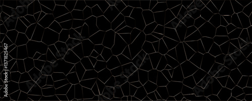 Onyx Shine and the Mysterious Depth of Black Glass and Highly Polished Surfaces

