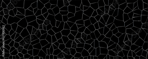Fractured Patterns and the Play of Light Across Splintered Transparent Surfaces

