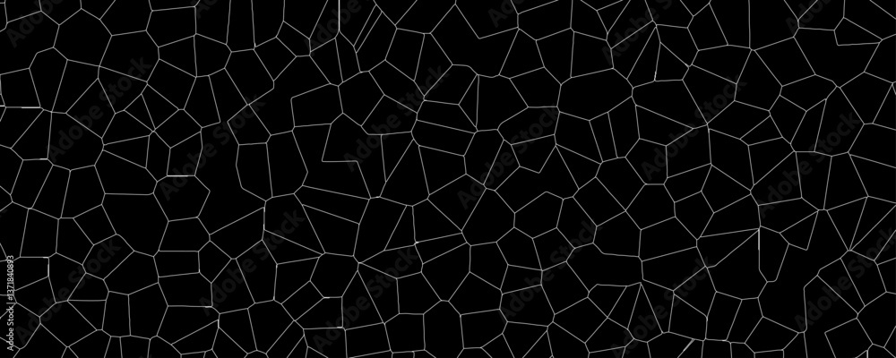 Optical Illusions Created Through Light Refraction and Fragmented Surfaces
Optical Illusions Created Through Light Refraction and Fragmented Surfaces