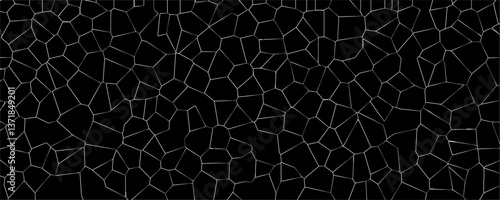 Splintered Patterns and the Unexpected Beauty of Imperfection in Transparent Materials

