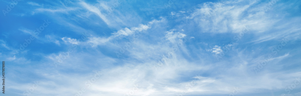 Fototapeta premium The sky is blue and clear with no clouds