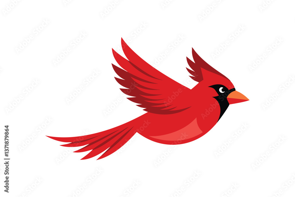 Fototapeta premium vector illustration of a bird