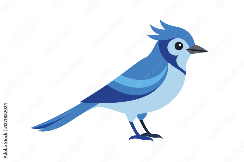 Fototapeta premium blue bird on white background