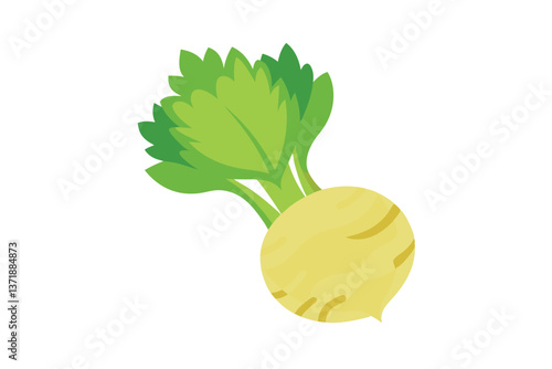 fresh vegetable marrow