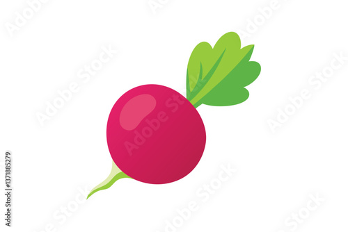 pink radish isolated on white