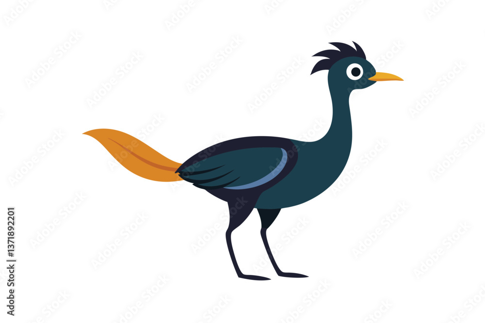 Fototapeta premium peacock isolated on white background