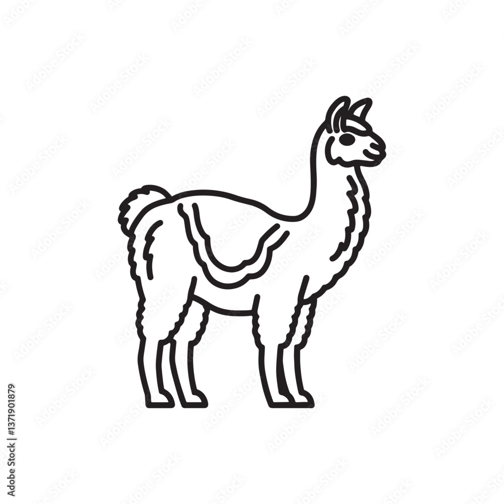 Alpaca animal line art isolated flat vector illustration on white background Alpaca animal line art isolated flat vector illustration on white background