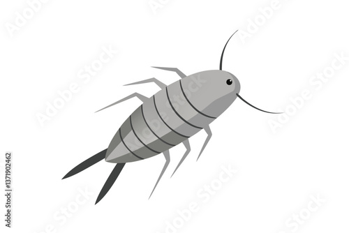 cockroach isolated on white background