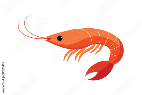 vector illustration of a shrimp