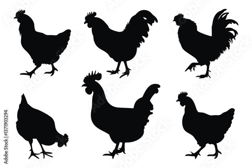Chicken silhouette set isolated flat vector illustration on white background