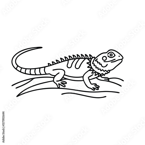Collared Lizard animal line art flat vector illustration