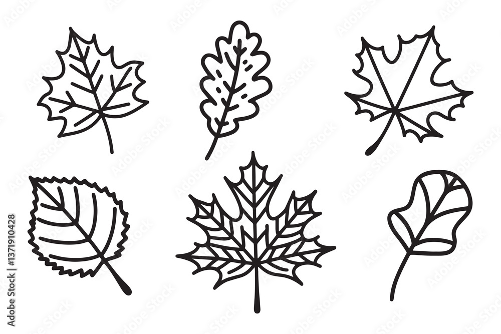 Fototapeta premium Maple leaf line art set isolated flat vector illustration on white background.