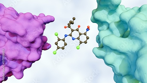 A 3d rendering of a molecular glue mediating the interaction between two proteins, the target proteins that the molecular glue is bringing together.
