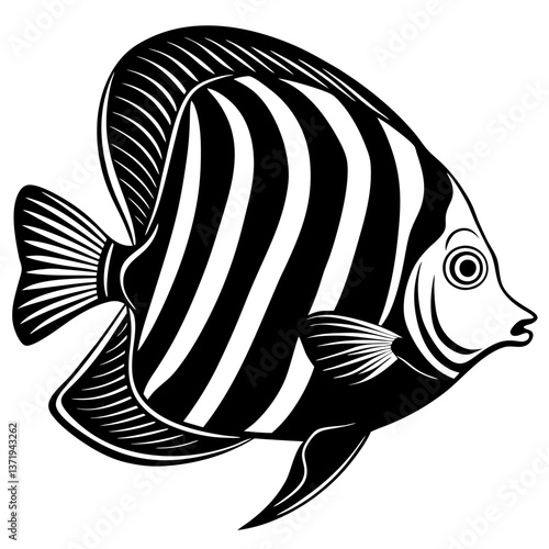 emperor angelfish silhouette