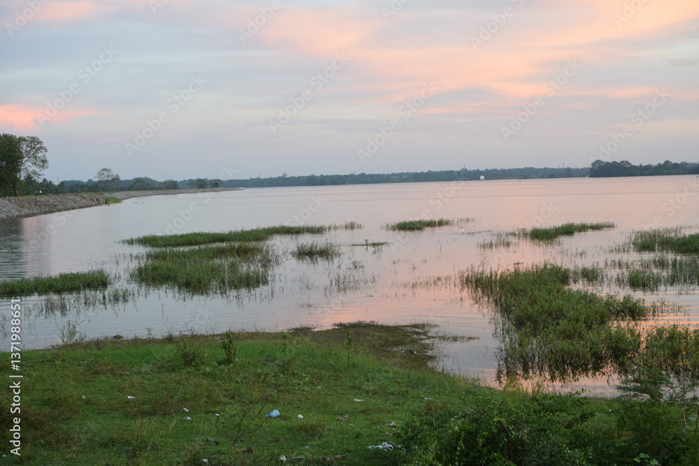 On a lake embankment at sunset. nature with lake landscape on sunset time. Cloudy Sunsets Over Lake in Summer. chandrika lake, Embilipitiya, Sri Lanka. Golden Sunset Reflections on Lake’s Tranquil On a lake embankment at sunset. nature with lake landscape on sunset time. Cloudy Sunsets Over Lake in Summer. chandrika lake, Embilipitiya, Sri Lanka. Golden Sunset Reflections on Lake’s Tranquil