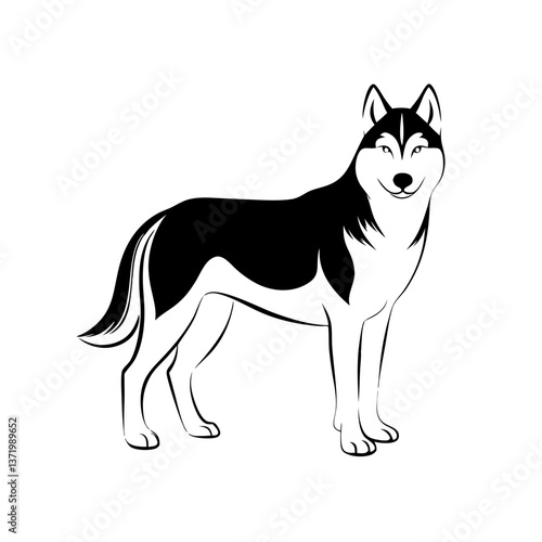 Siberian husky dog standing in black outline