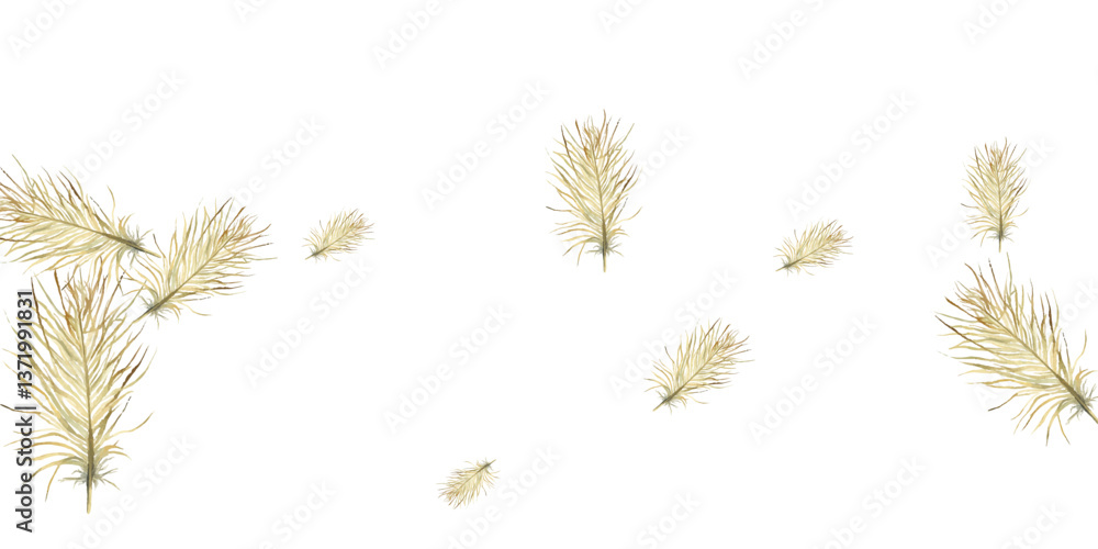 Obraz premium Adobe Illustrator Artwork