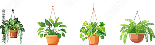 Hanging plants: A series of thriving hanging plants with lush green foliage and earthen pots, representing a sense of tranquility and nature.