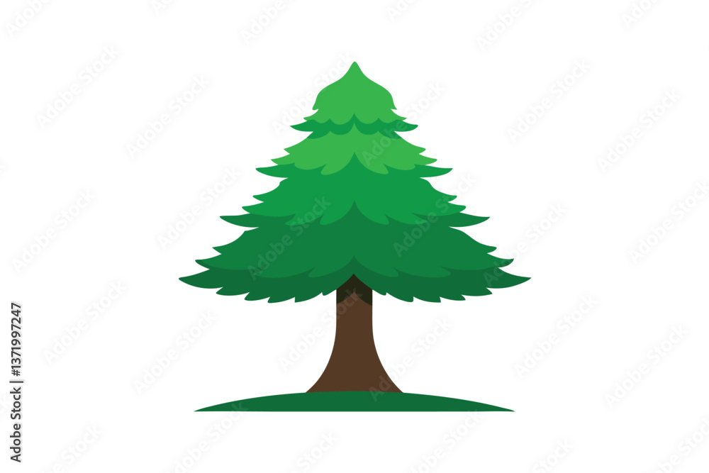 christmas tree isolated on white christmas tree isolated on white