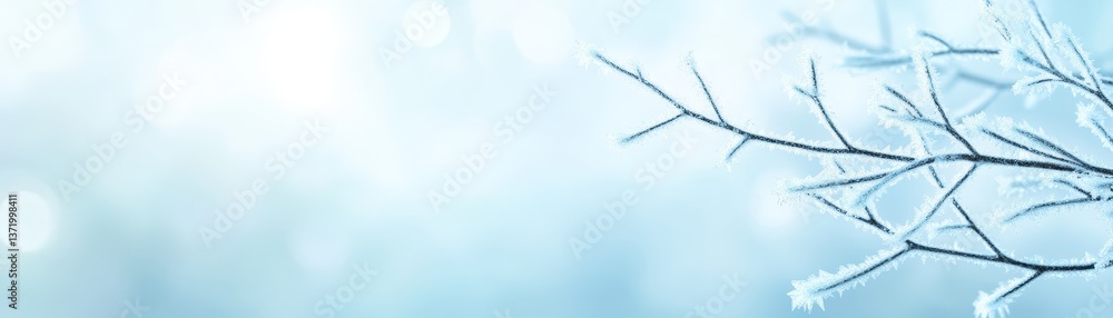 Intricate ice crystals adorn a frosted branch, winter wonderland closeup closeup Intricate ice crystals adorn a frosted branch, winter wonderland closeup closeup