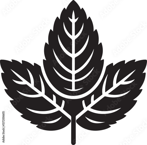 isolated mint leaf Vector,mint leaf Silhouette,mint leaf icon set, mint leaf symbol ,black mint leaf Vector illustration, Vector Graphic, EPS 10 