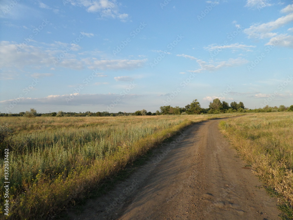 Dirt road in the field Dirt road in the field