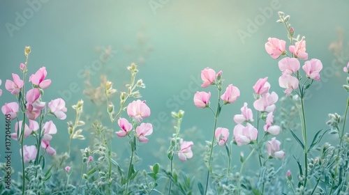 Delicate Pink Flowers Blooming in a Soft Green Garden Background