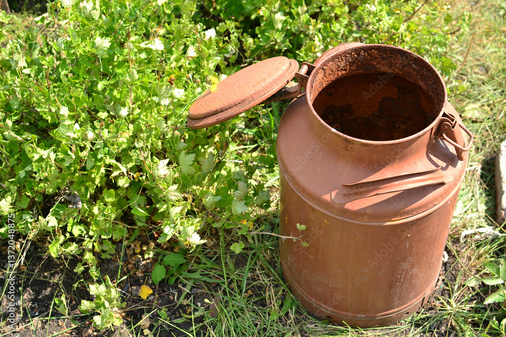 Rusty metal milk can beside fresh green herbs in a garden setting for rustic gardening and vintage decor Rusty metal milk can beside fresh green herbs in a garden setting for rustic gardening and vintage decor