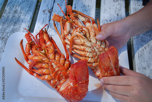 Obraz na płótnie Hands holding freshly cooked crayfish on picnic table. Kaikoura. New Zealand. w salonie