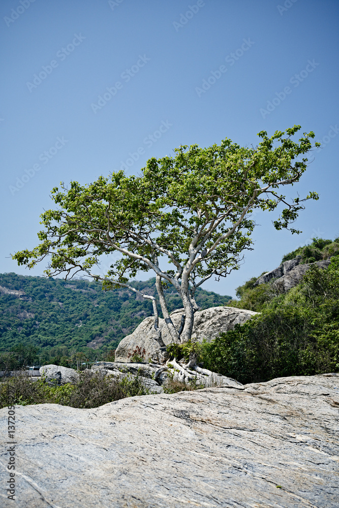 Wild nature and secluded beach in Hua Hin