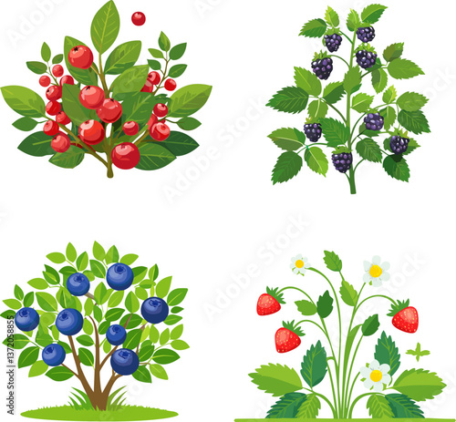 Vibrant Berry Collection: Showcasing a visually appealing and richly detailed collection of diverse berries, each perfectly rendered with realistic texture and vibrant colors.