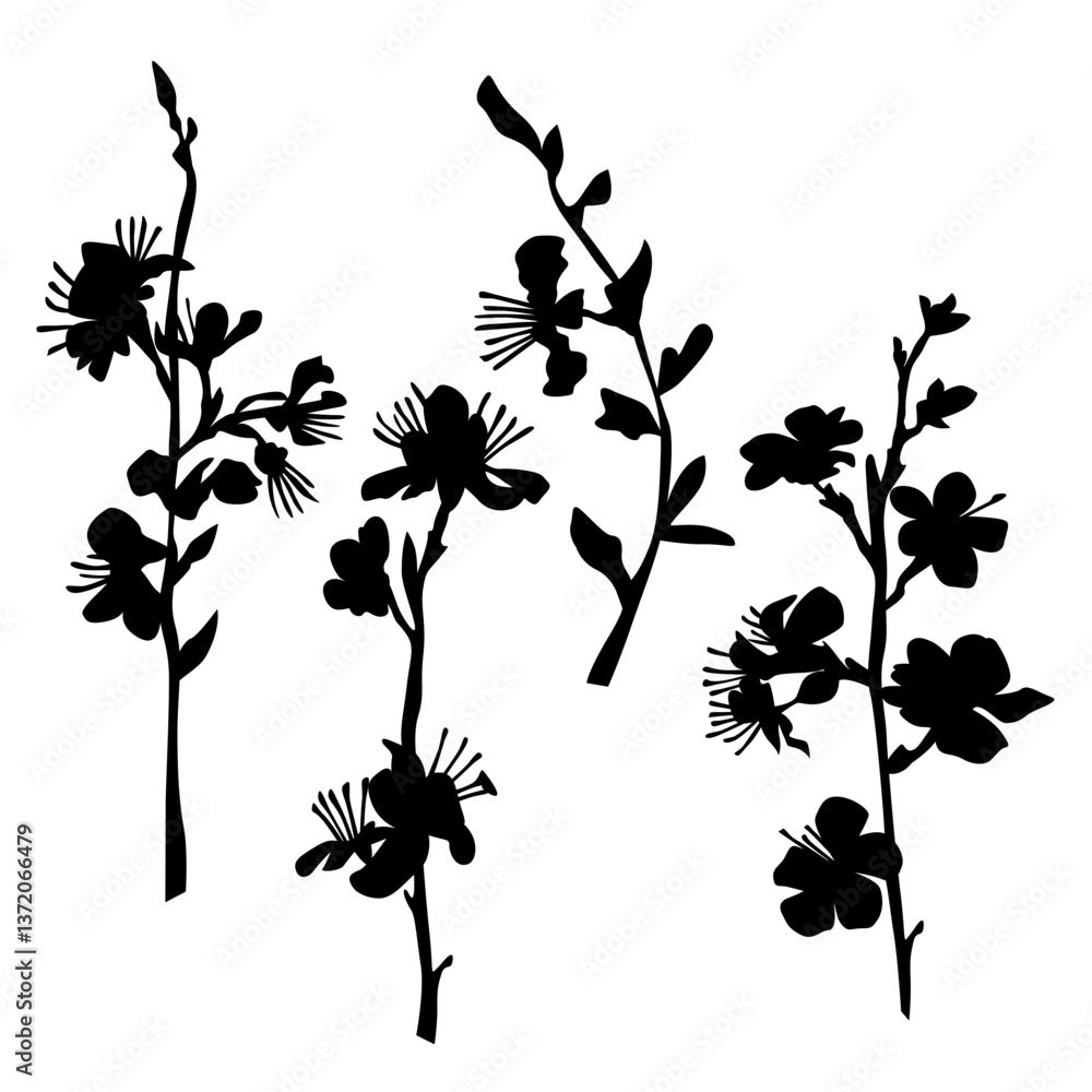 Silhouette of apple or cherry flower with leaf, branch blossom, vector, black color, isolated on white background