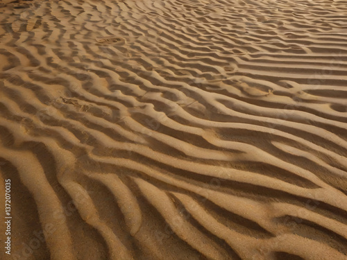 The wind has sculpted the sand into intricate, mesmerizing shapes.