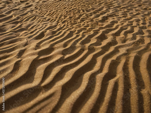 Sunlight glistens on the sand, highlighting its texture and curves.