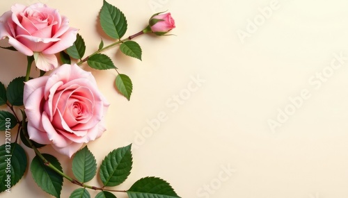 Delicate blush pink roses and climbing ivy on a cream background , vines, floral print, wallcovering