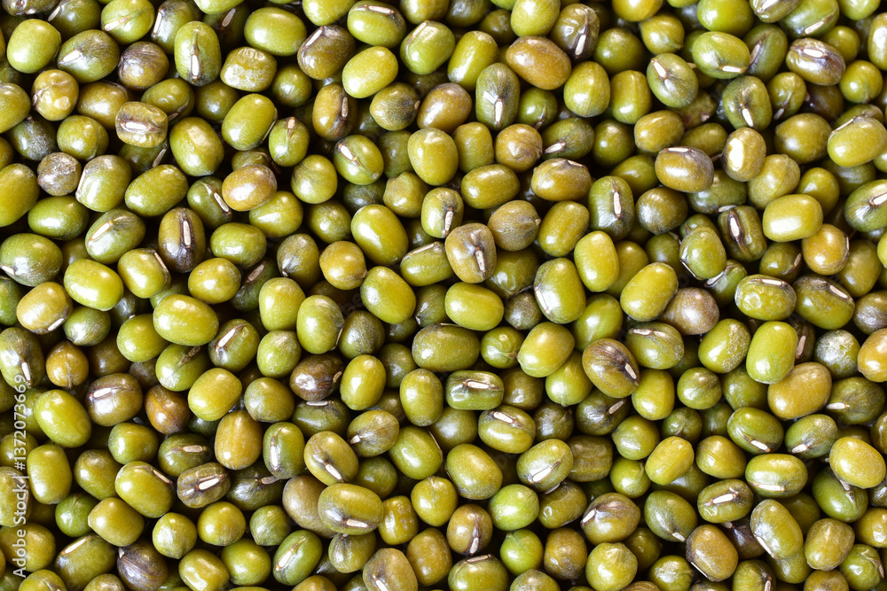 Full frame green bean seeds background Full frame green bean seeds background