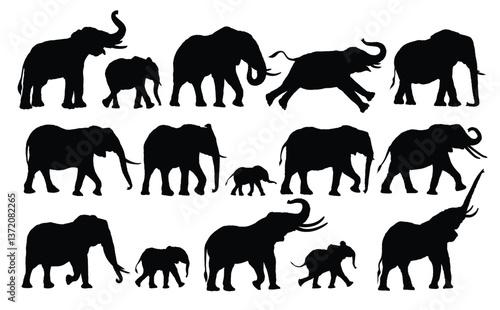 Set silhouettes of a wild africans elephants.
