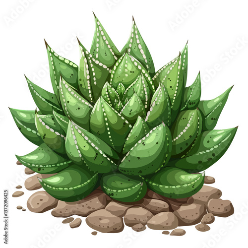Agave on a white background 
