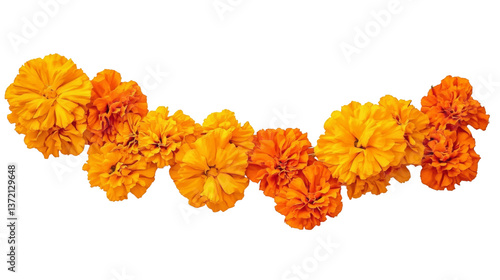 Orange Marigold Flower Garland, Isolated on Transparent Background, Floral Design Element, Day of the Dead, Marigold, Floral arrangement, Dia de los Muertos