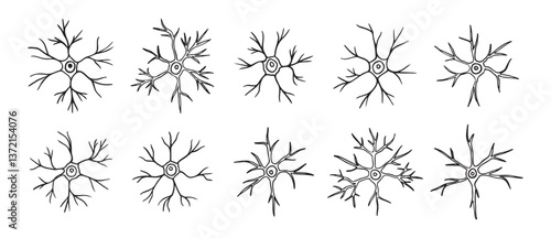neurons or neuron cells doodle hand drawn icon set. Outline pyramidal neurons drawing line clipart symbol collection