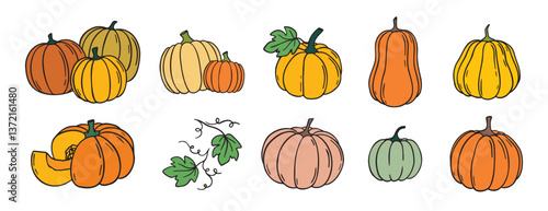 pumpkin and pumpkin leaves autumn harvest doodle hand drawn icon set. Cartoon colorful drawing pumpkin clipart symbol collection
