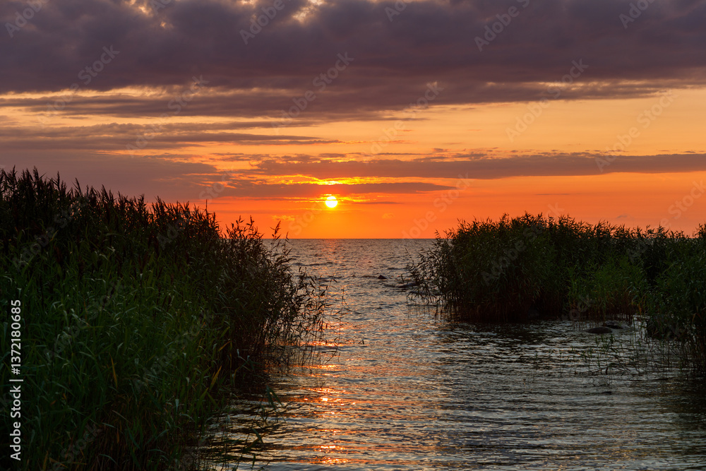 The Curonian Spit, sunset, summer