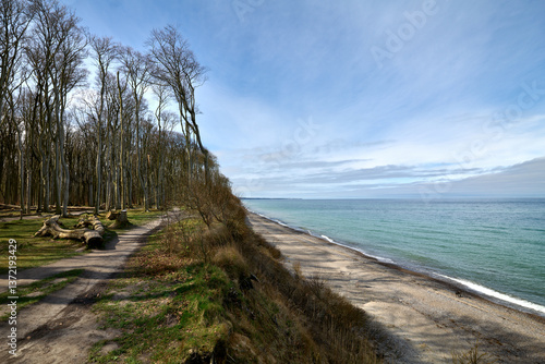 Fototapeta Naklejka Na Ścianę i Meble -  Zauberwald Kühlungsborn