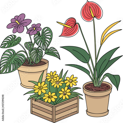Pink tulip and hyacinth blossoms in a set of potted spring flowers bring floral nature and garden color